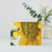 Carte postale d'abeille et de tournesol (Debout devant)