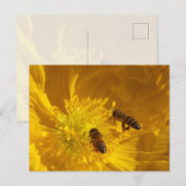 Carte postale d'abeilles (Devant / Derrière)