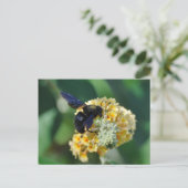 Carte postale d'abeilles de charpentier violet (Debout devant)