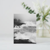 Carte postale d'Acadia Surf - 3 (Debout devant)