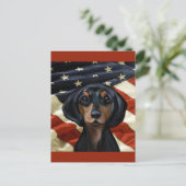 CARTE POSTALE DACHSHING (Debout devant)