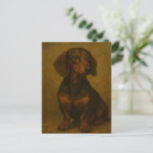 Carte Postale Dachshund (Debout devant)