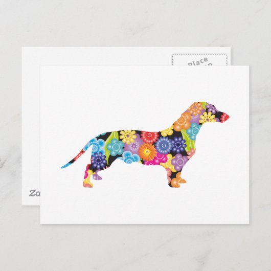 Carte Postale Dachshund (Devant / Derrière)