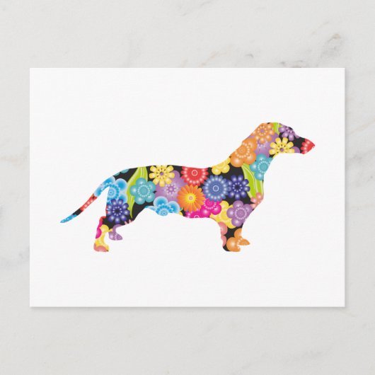 Carte Postale Dachshund (Devant)