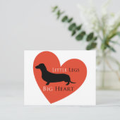Carte Postale Dachshund (Debout devant)