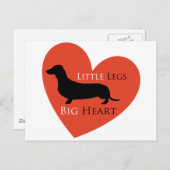 Carte Postale Dachshund (Devant / Derrière)