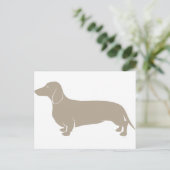 Carte Postale Dachshund (Debout devant)