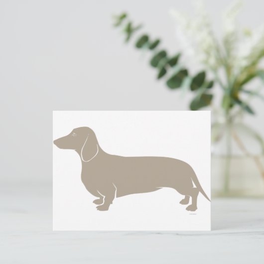Carte Postale Dachshund (Debout devant)