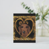 CARTE POSTALE DACHSHUND (Debout devant)