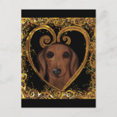CARTE POSTALE DACHSHUND (Devant)