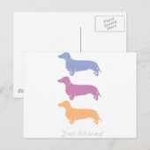 Carte Postale Dachshund (Devant / Derrière)