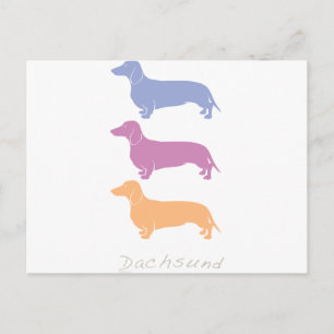 Carte Postale Dachshund