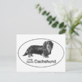 Carte Postale Dachshund (Debout devant)