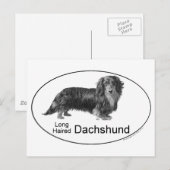Carte Postale Dachshund (Devant / Derrière)
