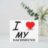 Carte Postale dachshund (Debout devant)