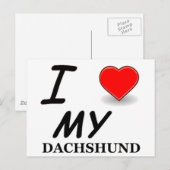 Carte Postale dachshund (Devant / Derrière)