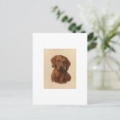 Carte Postale Dachshund (Debout devant)