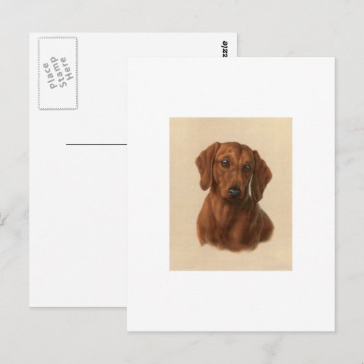 Carte Postale Dachshund (Devant / Derrière)