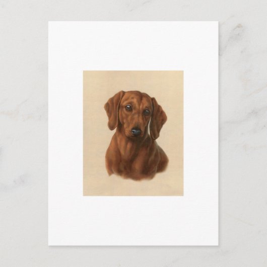 Carte Postale Dachshund (Devant)