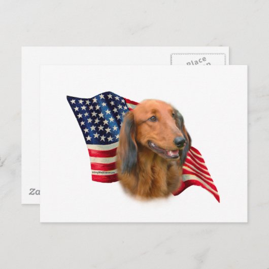 Carte Postale Dachshund (Devant / Derrière)