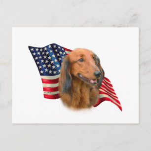 Carte Postale Dachshund