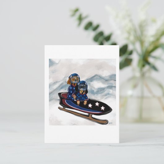 CARTE POSTALE DACHSHUND  (Debout devant)