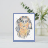 Carte postale Dachshund (Debout devant)