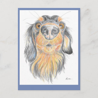 Carte postale Dachshund