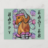 CARTE POSTALE DACHSHUND        (Devant)