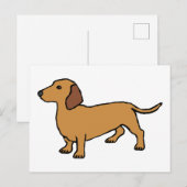 Carte Postale Dachshund (Devant / Derrière)