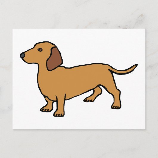 Carte Postale Dachshund (Devant)