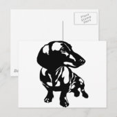 Carte Postale Dachshund (Devant / Derrière)