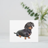 Carte Postale Dachshund (A) - Noir et feu (Debout devant)