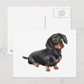 Carte Postale Dachshund (A) - Noir et feu (Devant / Derrière)