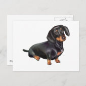 Carte Postale Dachshund (A) - Noir et Tan (Devant / Derrière)
