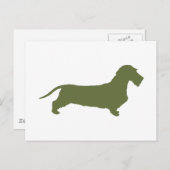 Carte Postale Dachshund À poils durs (Devant / Derrière)