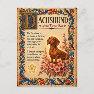 Carte Postale Dachshund, Art du Bestiaire Médiéval