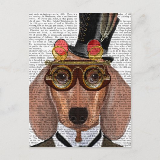 Carte Postale Dachshund avec chapeau supérieur et lunettes (Devant)