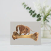 Carte Postale Dachshund Avec Un Os Énorme (Debout devant)