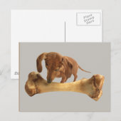 Carte Postale Dachshund Avec Un Os Énorme (Devant / Derrière)