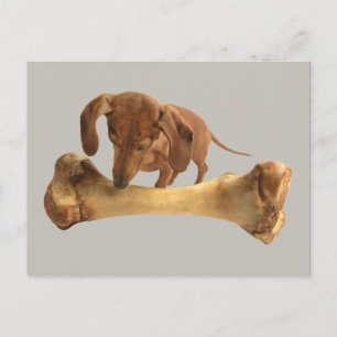 Carte Postale Dachshund Avec Un Os Énorme