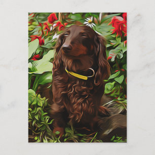 Carte Postale Dachshund Brown Assis Dans Le Jardin Avec Fleur