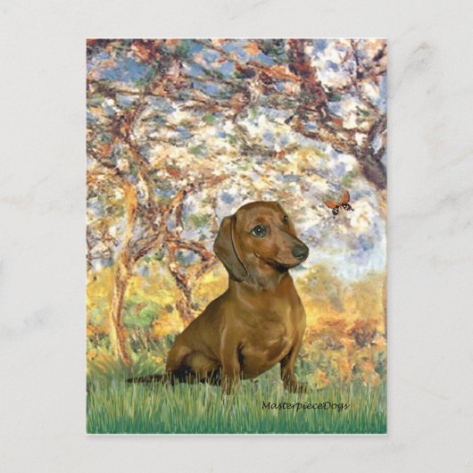 Carte Postale Dachshund (brun1) - Printemps (Devant)