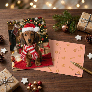 Carte Postale Dachshund Brun de Fête Vêtements de Noël Chien de