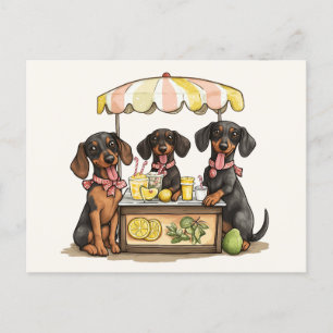 Carte Postale Dachshund Chiens Lemonade Stand