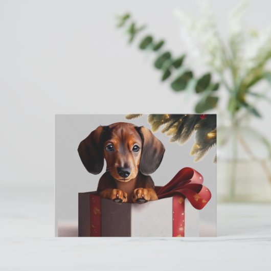 Carte Postale Dachshund Chiot Noël Surprise (Debout devant)