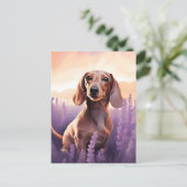 Carte Postale Dachshund dans le champ Lavender (Debout devant)