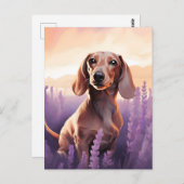 Carte Postale Dachshund dans le champ Lavender (Devant / Derrière)