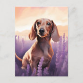 Carte Postale Dachshund dans le champ Lavender (Devant)