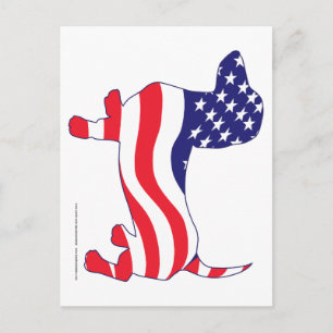 Carte Postale Dachshund dans le drapeau américain
